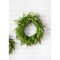 30" Just Cut Real Touch Norfolk Pine Wreath Lifelike Evergreen Holiday Decoration